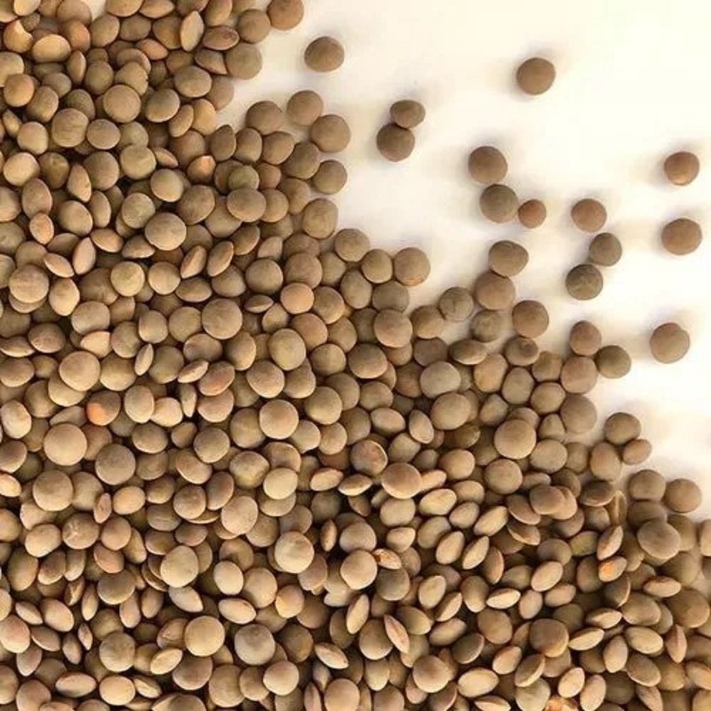 Green Lentil